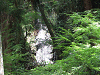 camp22 (144)_samu.gif